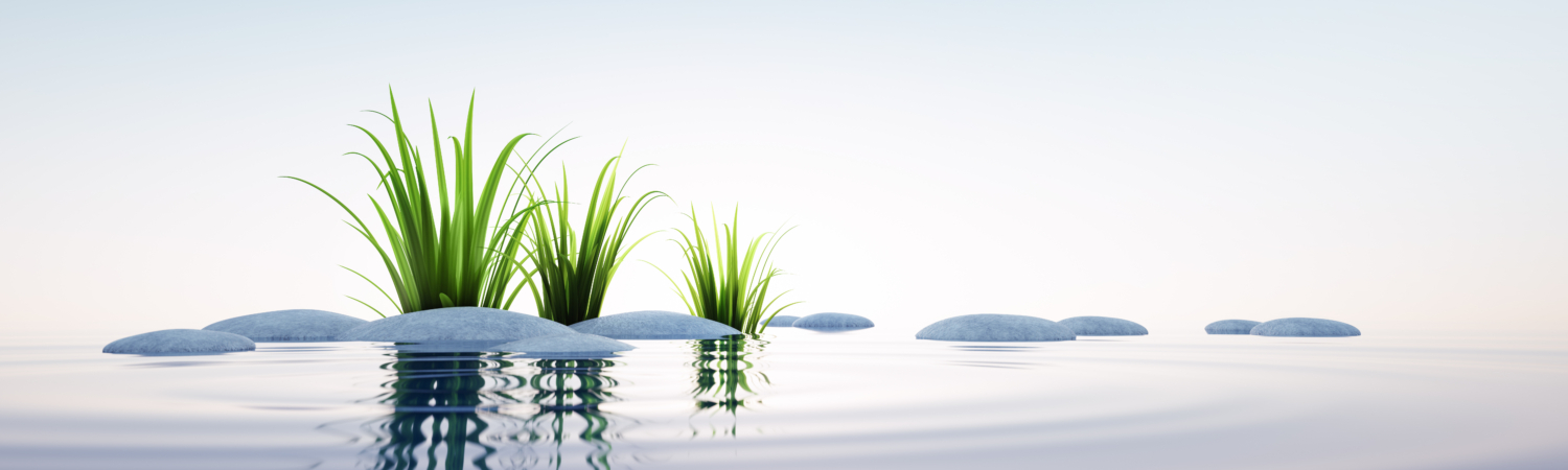 Steine und Gras im See Querformat